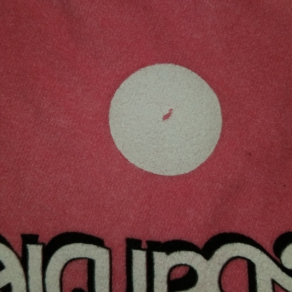 ✋🛑🛑SOLD✋🛑🛑WILDFOX "BARBIE" SHORTS - Picture 8 of 8